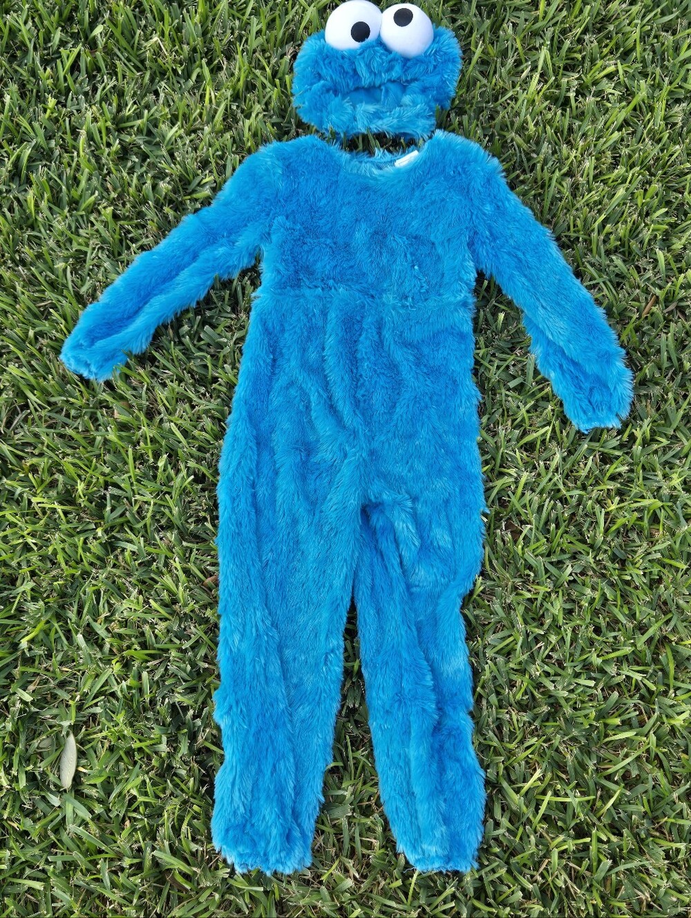 Sesame Street Toddler Cookie Monster Kids Costume 2 piece set - Size M 3T - 4T